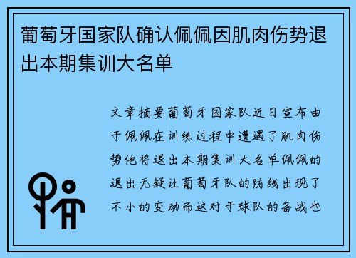 葡萄牙国家队确认佩佩因肌肉伤势退出本期集训大名单